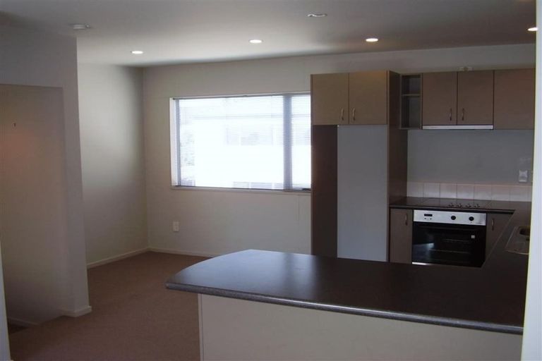 Photo of property in 461 Barbadoes Street, Edgeware, Christchurch, 8013