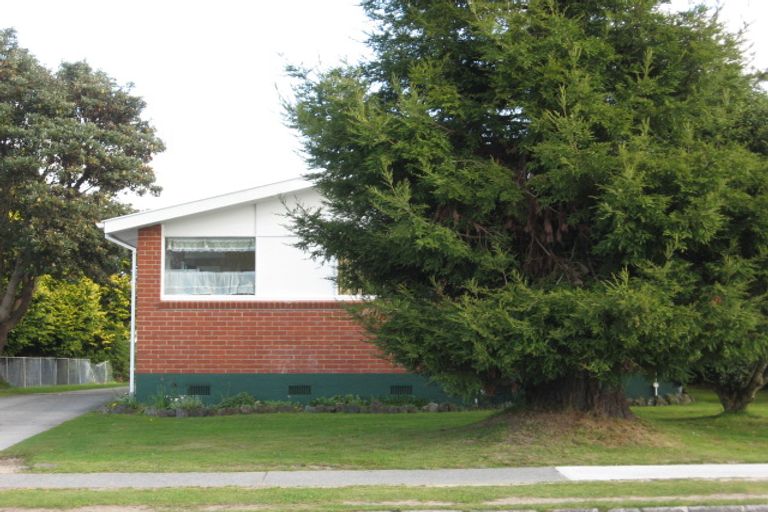 Photo of property in 146 Malfroy Road, Victoria, Rotorua, 3010