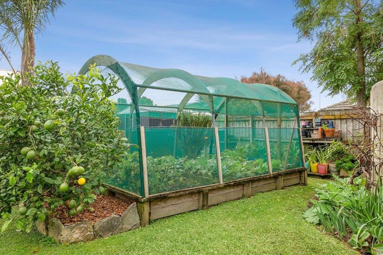 Photo of property in 17 Kagan Avenue, Mangawhai, 0505