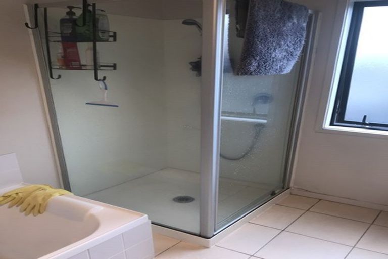 Photo of property in 19 Janway Avenue, Flat Bush, Auckland, 2016