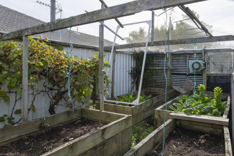 Photo of property in 11 Pohutukawa Grove, Lytton West, Gisborne, 4010