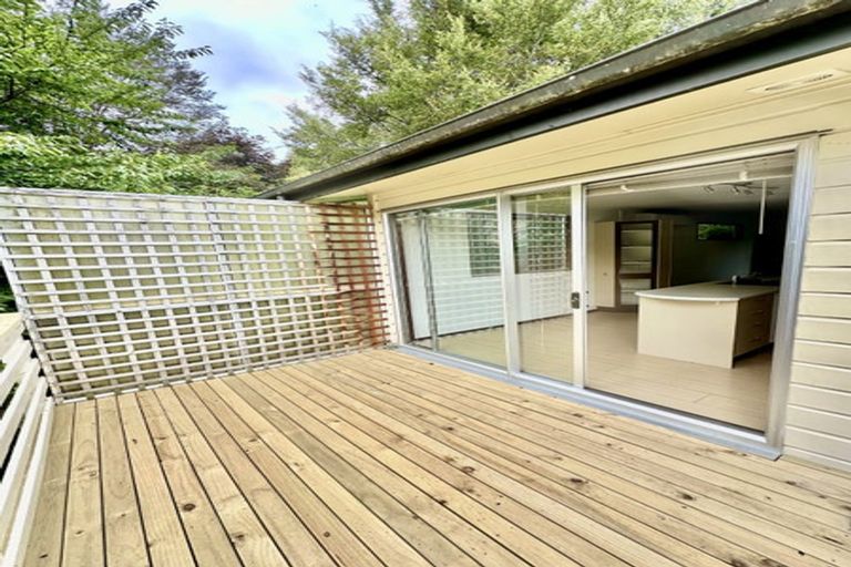 Photo of property in 35b Calder Avenue, North East Valley, Dunedin, 9010