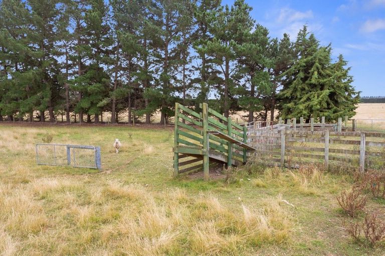 Photo of property in 317 Innes Road, Glasnevin, Amberley, 7482