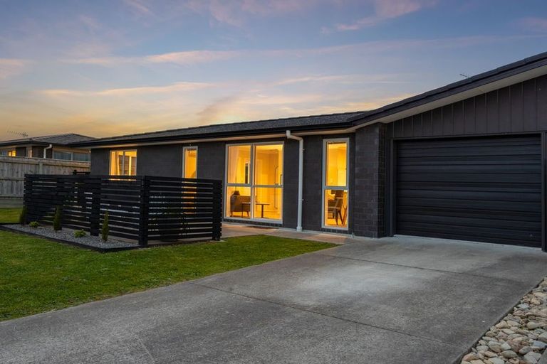 Photo of property in 87 Hinemoa Street, Levin, 5510