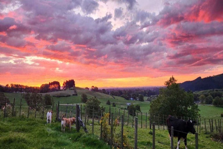 Photo of property in 192 Karapiro Road, Karapiro, Cambridge, 3496