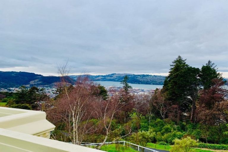 Photo of property in 65 Sligo Terrace, Roslyn, Dunedin, 9010