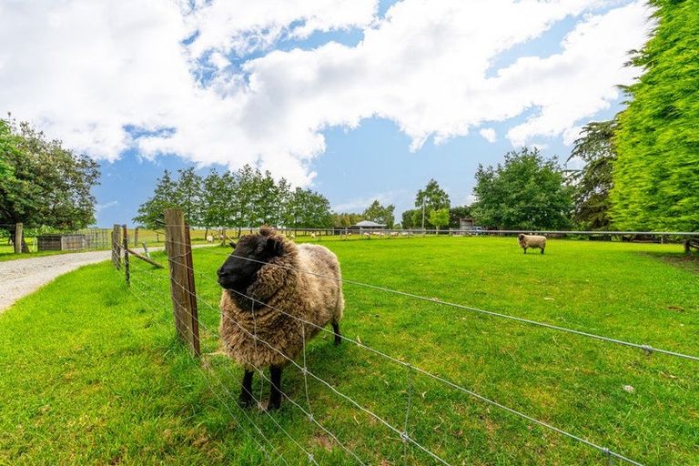 Photo of property in 120 Summerleaze Road, Pareora West, Timaru, 7971