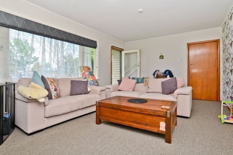 Photo of property in 31 Gillies Avenue, Claudelands, Hamilton, 3214