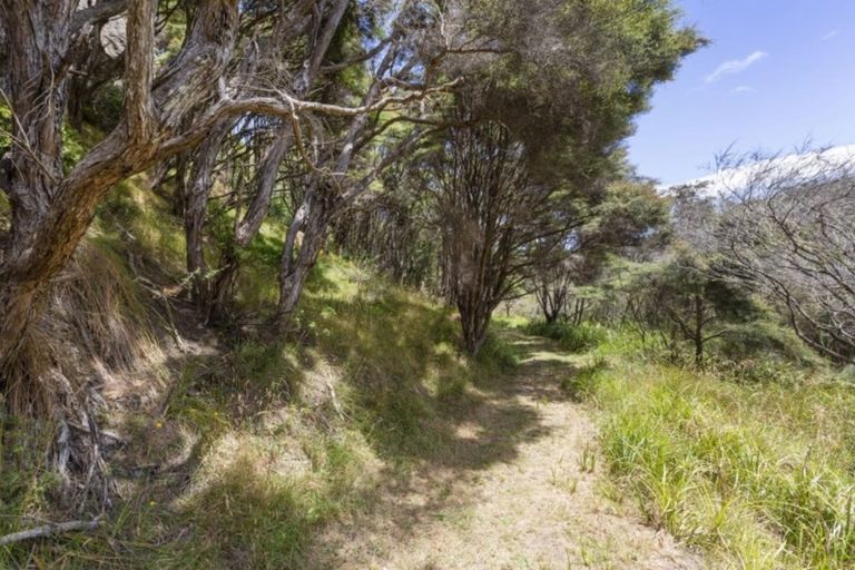 Photo of property in 686 Te Papatapu Road, Raglan, Te Mata, 3894