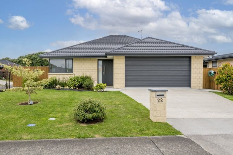 Photo of property in 22 Barry Curtis Place, Levin, 5510