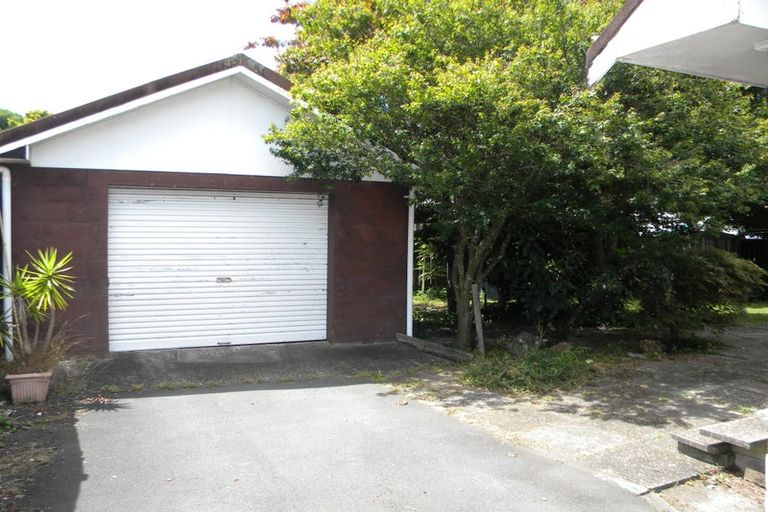 Photo of property in 41 Kowhai Street, Hamilton Lake, Hamilton, 3204