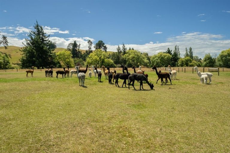 Photo of property in 376 Neudorf Road, Upper Moutere, 7175