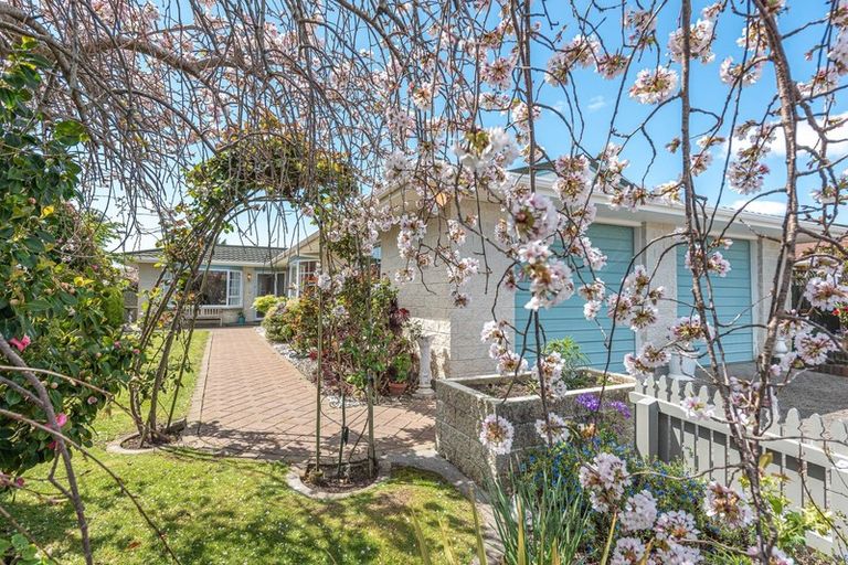 Photo of property in 28 Lindsey Crescent, Springvale, Whanganui, 4501