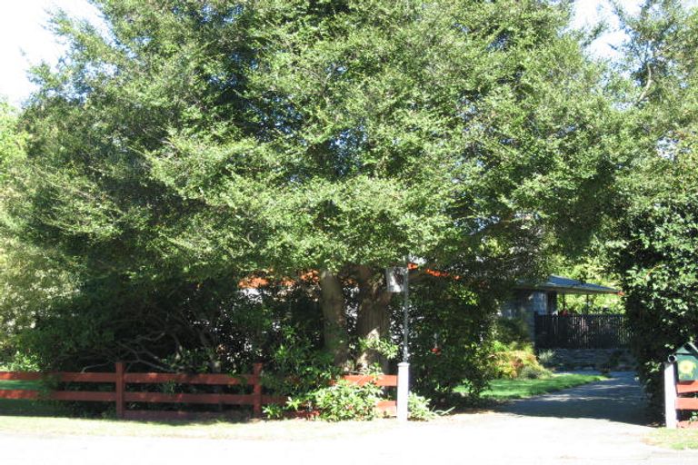 Photo of property in 250 Talbot Street, Geraldine, 7930