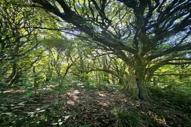 Photo of property in 326 Sainsbury Road, Pirongia, 3876