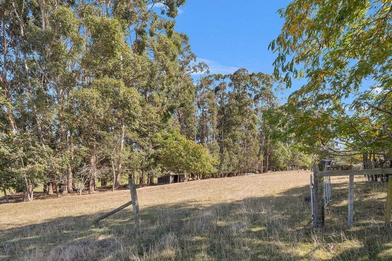 Photo of property in 371 Tutaki Road, Bunnythorpe, Palmerston North, 4470