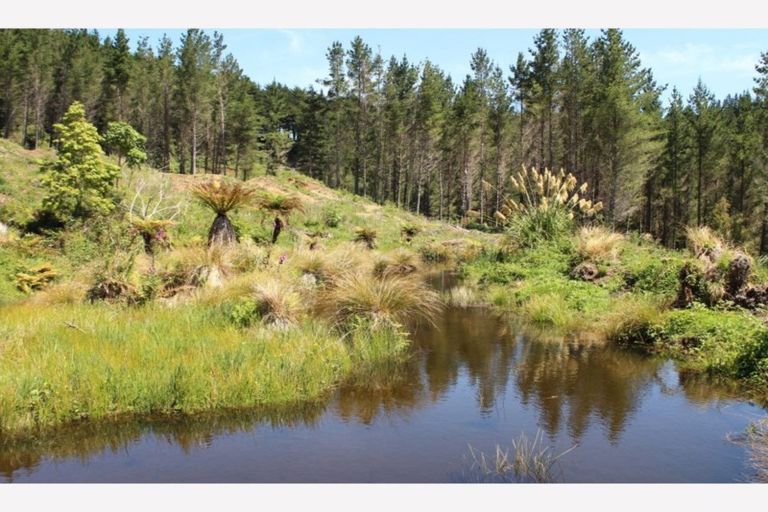 Photo of property in 81d Middle Road, Tohunga Junction, Raetihi, 4696