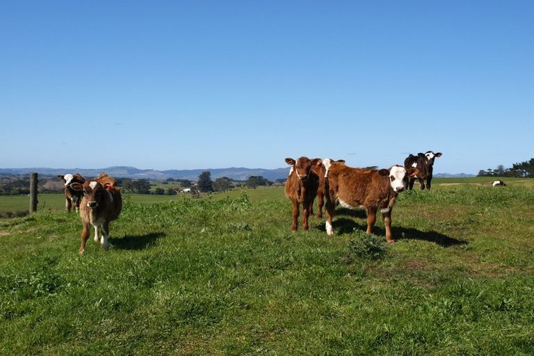 Photo of property in 247 Kaihau Road, Karioitahi, Waiuku, 2683