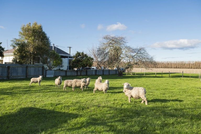 Photo of property in 140 Seddon Street, Patutahi, Gisborne, 4072