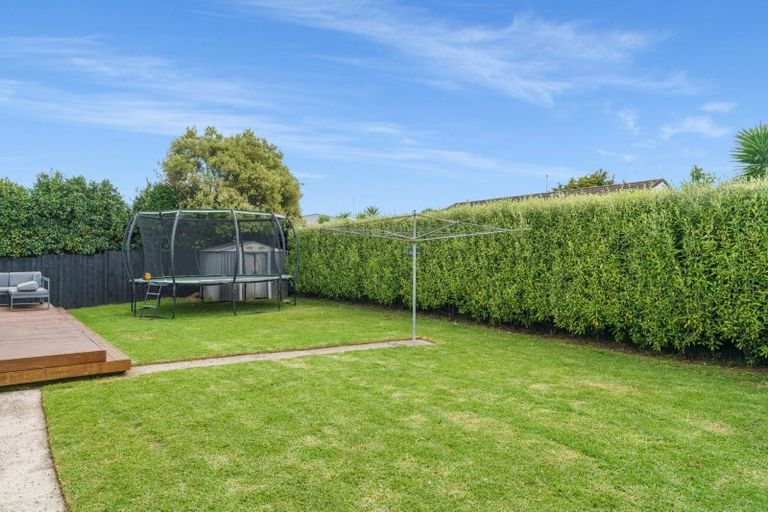 Photo of property in 26 Bongard Street, Gate Pa, Tauranga, 3112