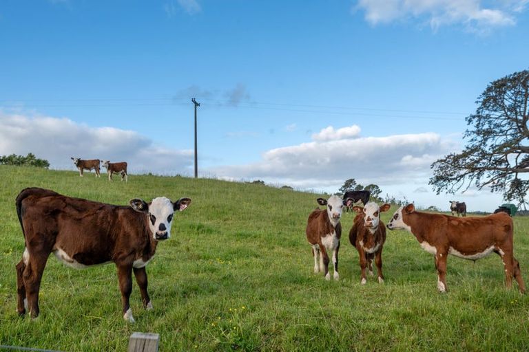 Photo of property in 827 Wainui Road, Wainui, Opotiki, 3198