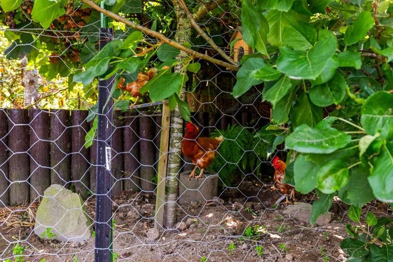 Photo of property in 126 Douglas Street, Whakatane, 3120