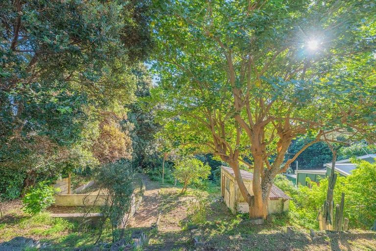 Photo of property in 45 Wellington Road, Paekakariki, 5034