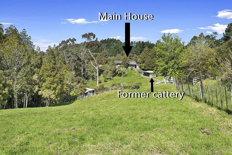 Photo of property in 180 Kahikatea Flat Road, Dairy Flat, Albany, 0794