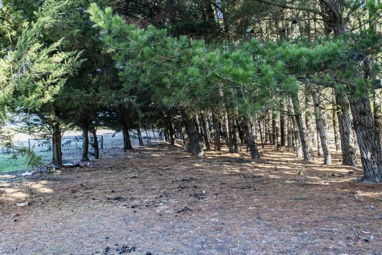 Photo of property in 335 Main Race Road, Eyrewell, Rangiora, 7476