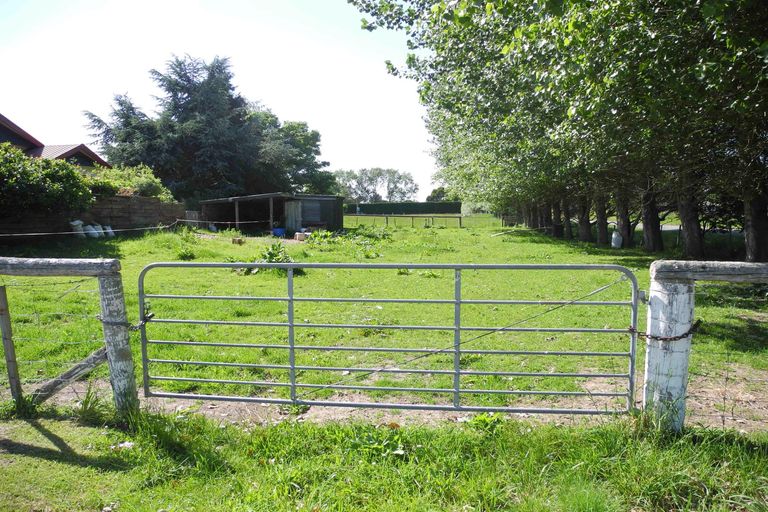 Photo of property in 48 Allan Street, Waimate, 7924