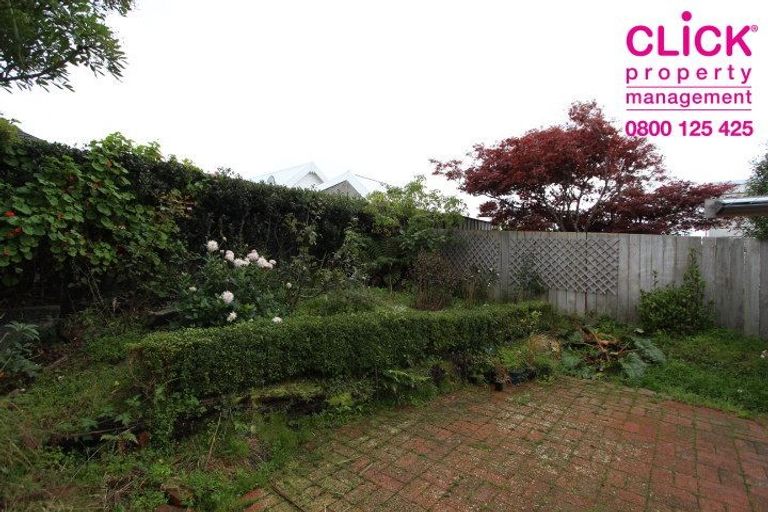 Photo of property in 17 Ventnor Street, Mornington, Dunedin, 9011