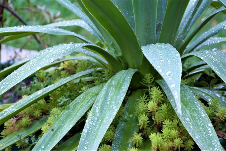 Photo of property in 3 Plumwood Lane, Cashmere, Christchurch, 8022