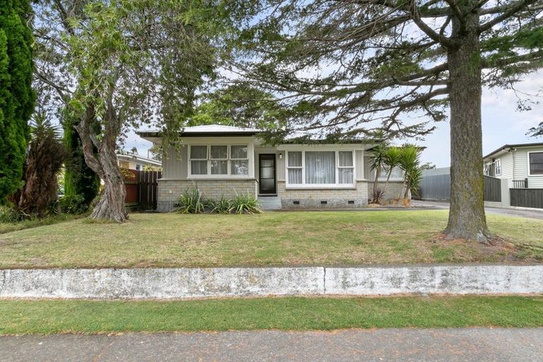 Photo of property in 26 Bristol Street, Tamatea, Napier, 4112