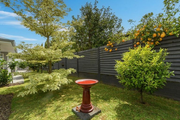Photo of property in 16 Saint Michaels Avenue, Bethlehem, Tauranga, 3110