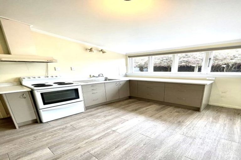 Photo of property in 93 Oxford Street, South Dunedin, Dunedin, 9012