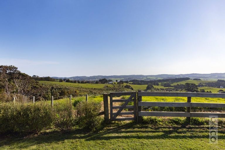 Photo of property in 457 Kiwitahi Road, Helensville, 0875