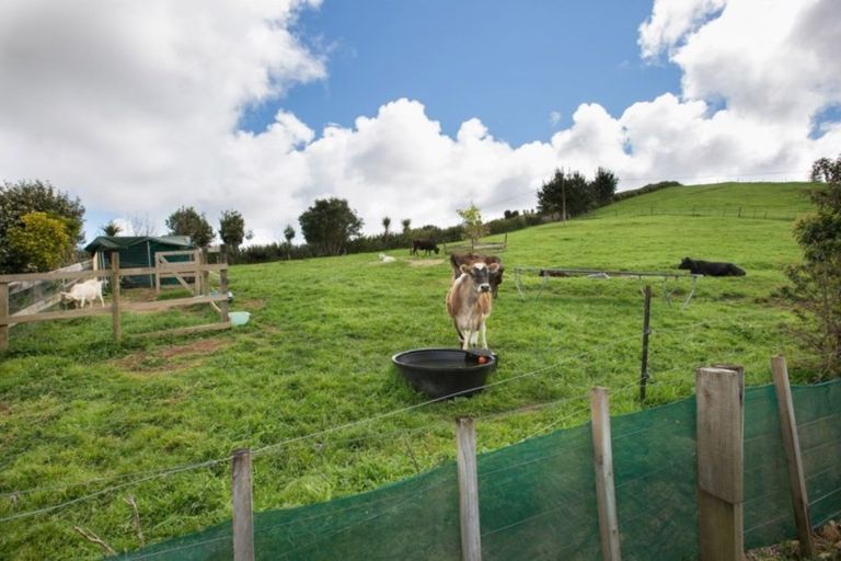 Photo of property in 398 Ruapuke Road, Raglan, 3296