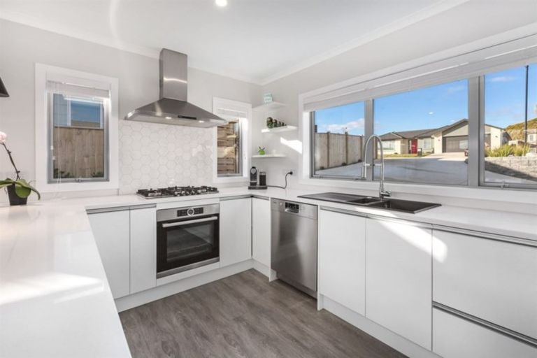 Photo of property in 84 John Burke Drive, Aotea, Porirua, 5024