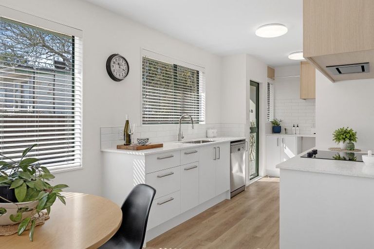 Photo of property in 48b Frankleigh Street, Somerfield, Christchurch, 8024