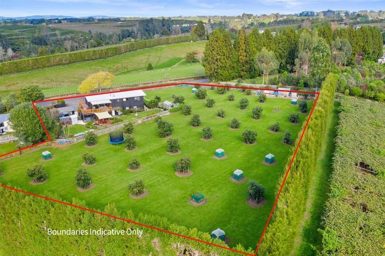 Photo of property in 728 No 1 Road, Te Puke, 3182