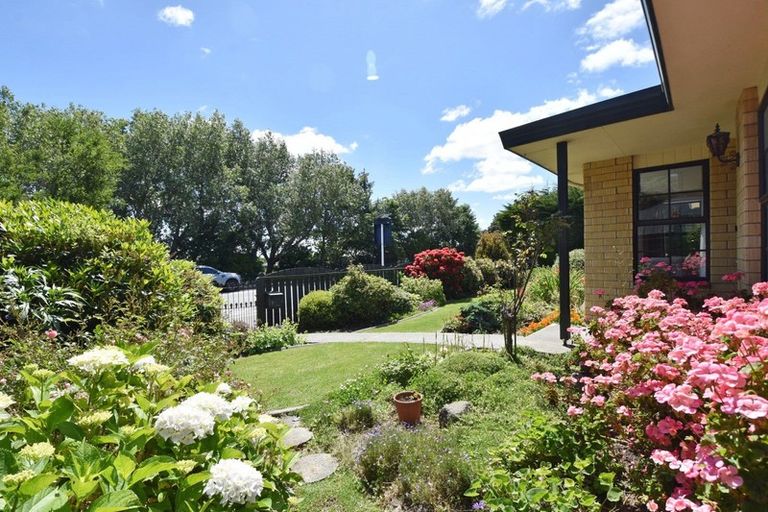 Photo of property in 39 Layard Street, Windsor, Invercargill, 9810
