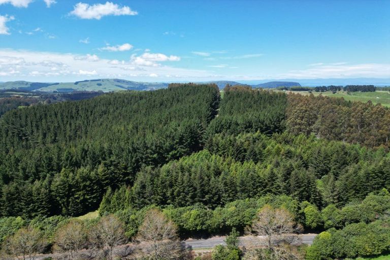 Photo of property in 1401 Whangamata Road, Marotiri, Taupo, 3377