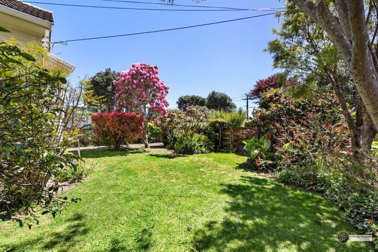 Photo of property in 50 Lincoln Avenue, Epuni, Lower Hutt, 5011