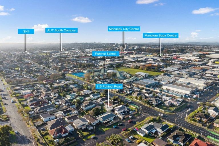 Photo of property in 115 Puhinui Road, Papatoetoe, Auckland, 2104