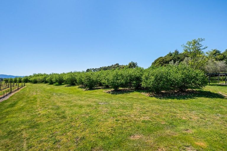 Photo of property in 191 Tyntesfield Road, Waihopai Valley, Blenheim, 7276
