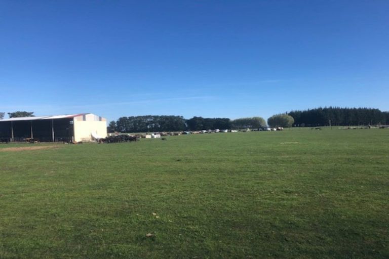 Photo of property in 1105d Santoft Road, Santoft, Bulls, 4894