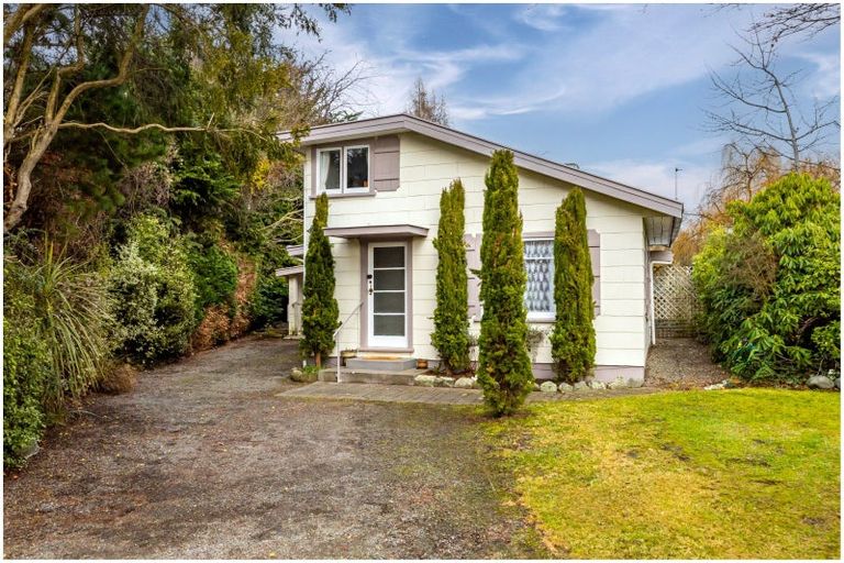 Photo of property in 53a Mckenzie Street, Geraldine, 7930