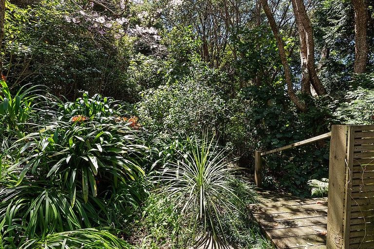 Photo of property in 486 Leigh Road, Whangateau, Warkworth, 0985