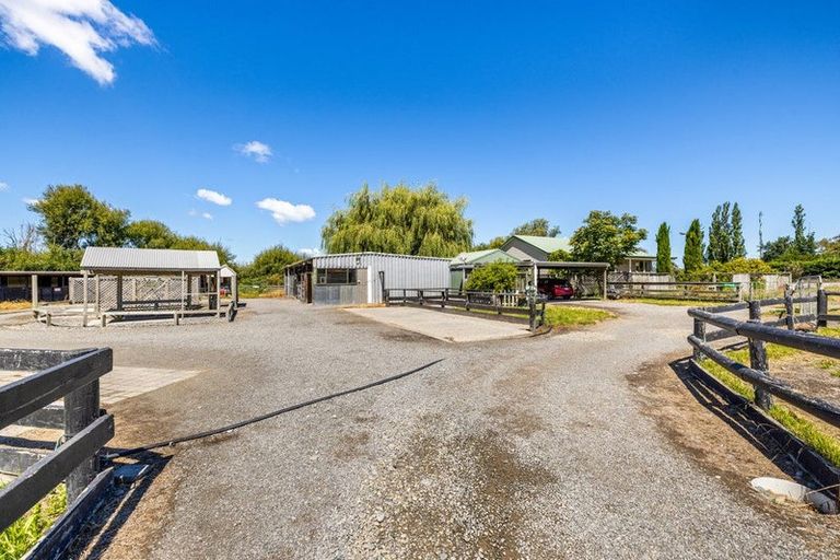 Photo of property in 219 Coutts Island Road, Coutts Island, Belfast, 7670