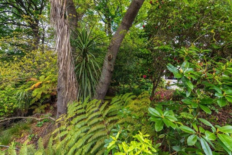 Photo of property in 46 Balrudry Street, Avonhead, Christchurch, 8042